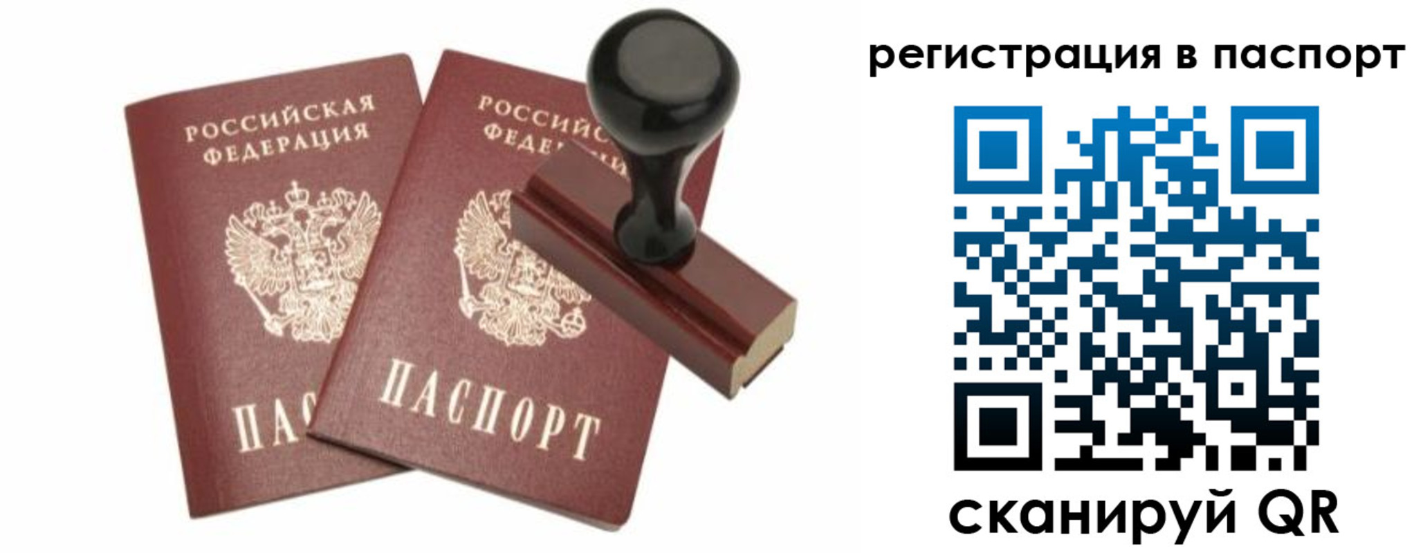 прописка для работы в Елизово